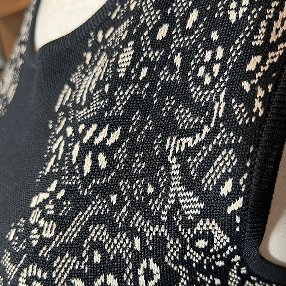 BCBGMAXAZRIA Wilma Black Cream Jacquard Lace Fit and Flare Dress Sleeveless XS - Picture 7 of 11